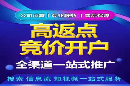 搜索引擎营销（SEM）成功案例详解